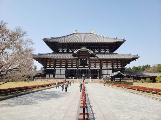 JiCJi9J