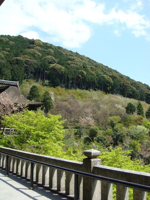 pikWJ