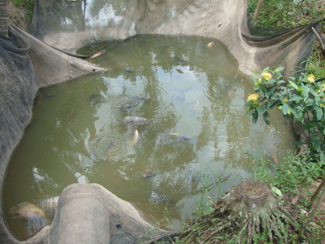 org3399858