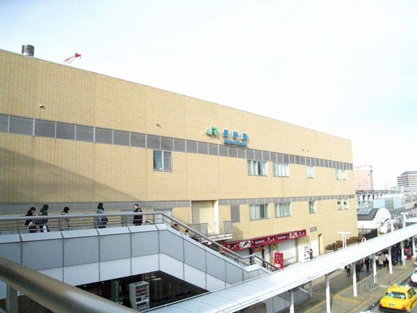 org2469542