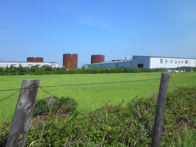 org3434012