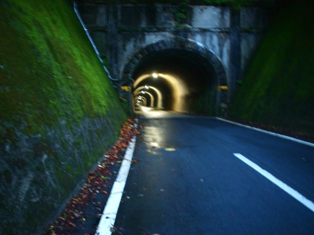ZvBfT