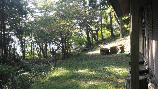 vljiko084733
