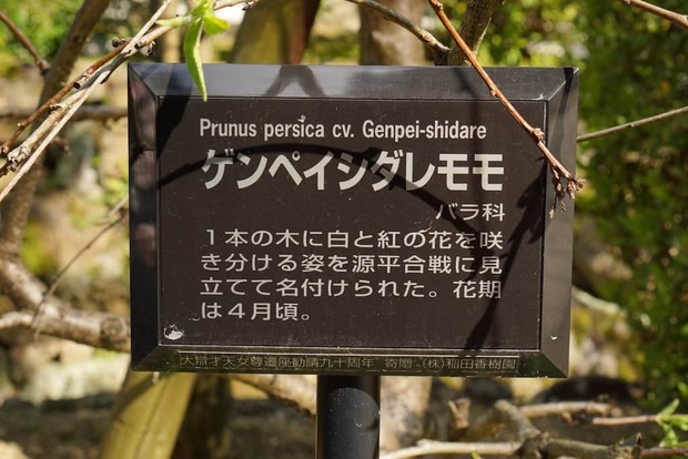 pUnjgsA