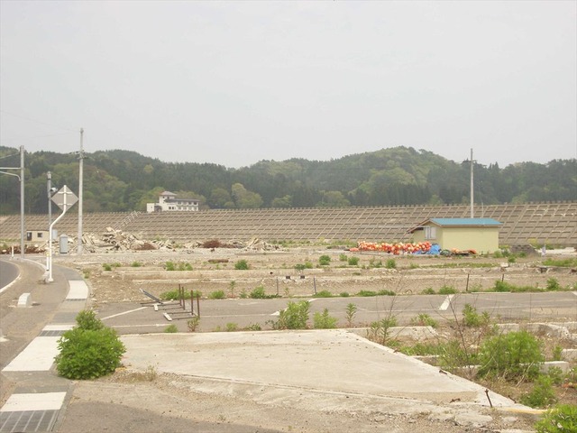 org3481554