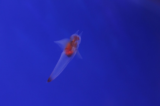 3b6b0699fece56c21641d0578b9407f704da60f11446078847