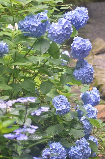 azuYlerwBgw