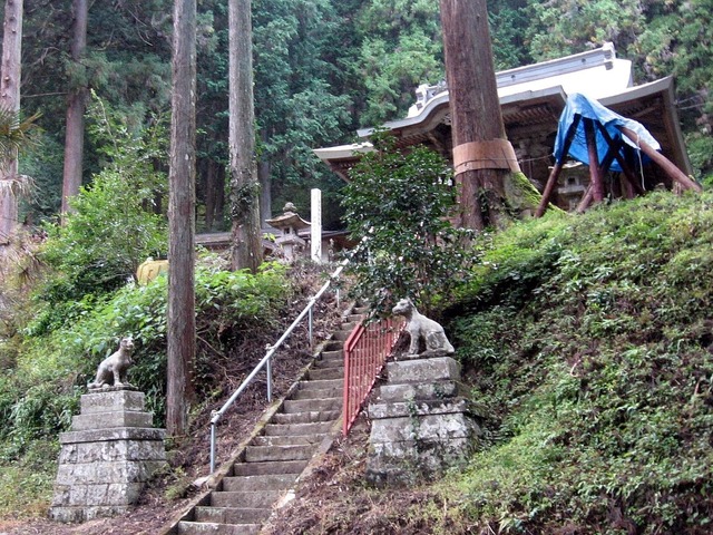 vljiko084767