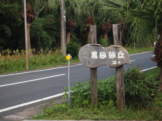 org3409920