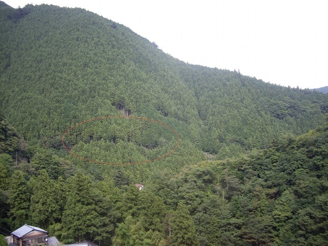 org3458018