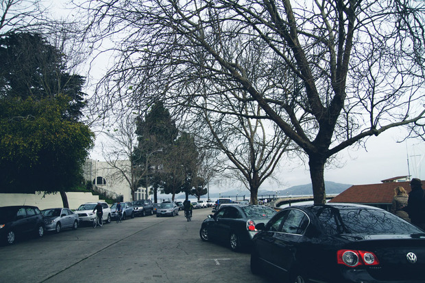 vlphoto017203