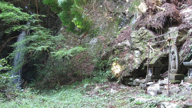 vljiko084723