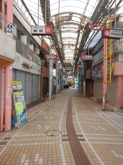 ZQJU4Po