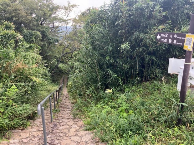 IvOJIyr