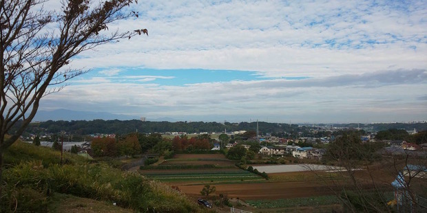 vRQIKo3