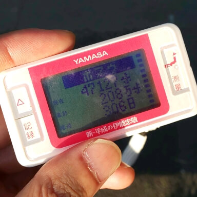 mgMZmXA