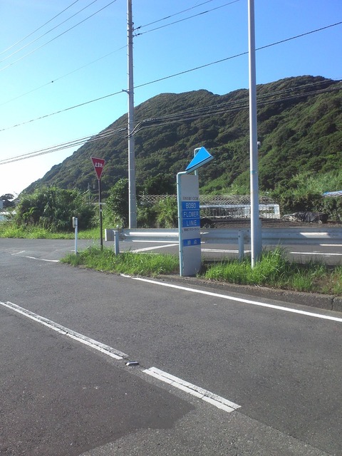 org3433707