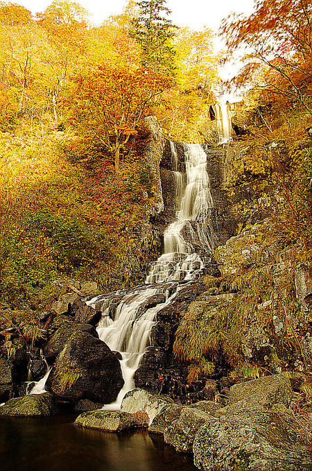 viploader1233488