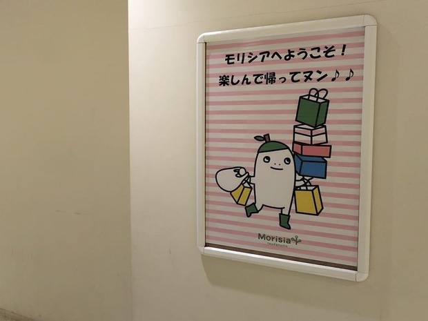 nzqLCNz
