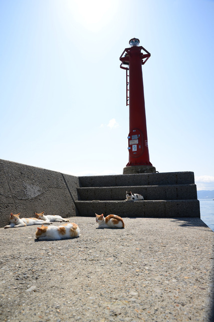 my98149xSNYtI8I-qU_Dy2k