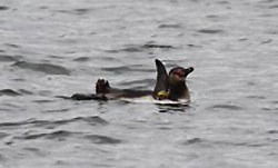 20120305k0000m040103000p_size5