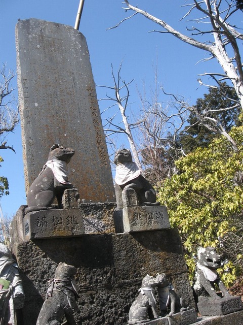 vljiko092191