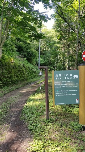 8CCdio1