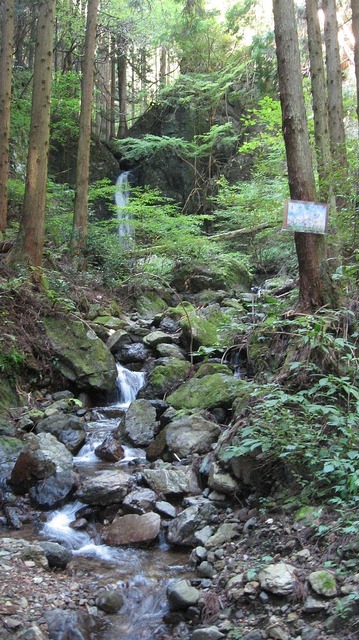 vljiko084722