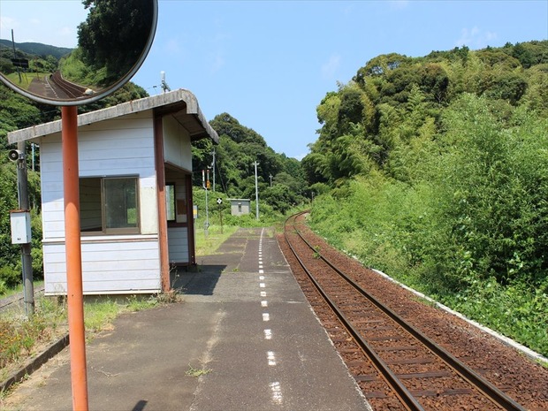 org4406377