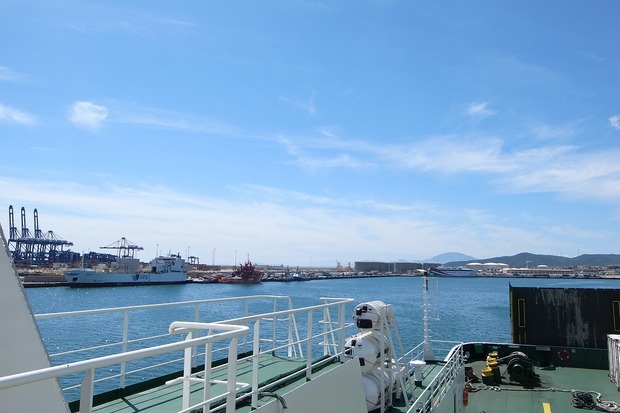 org3132196