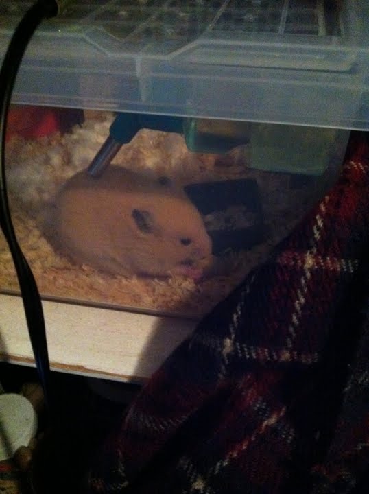 azuYtpzFBQw