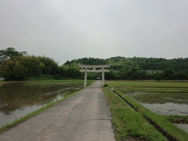 vlnews072738