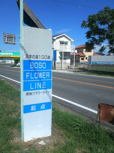 org3433657
