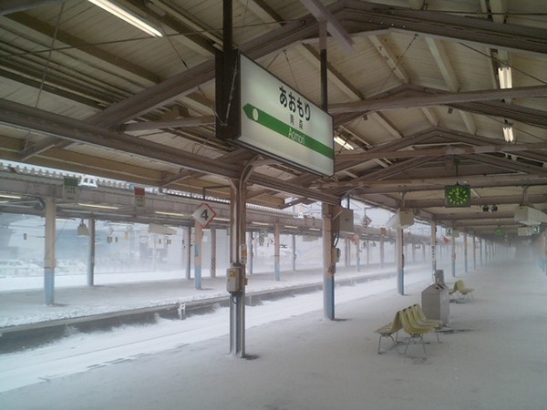 iup00011969