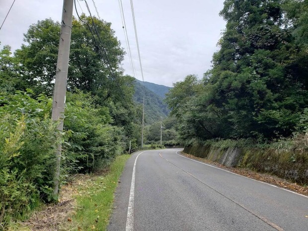 GpGCn20