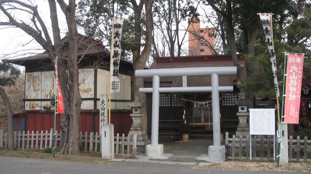 vljiko089240
