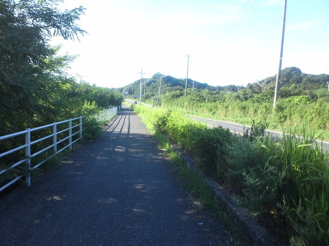 org3433325