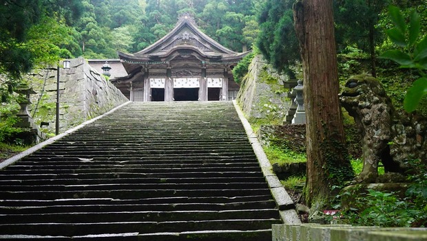 ncK8dfv