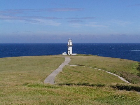 tusimase