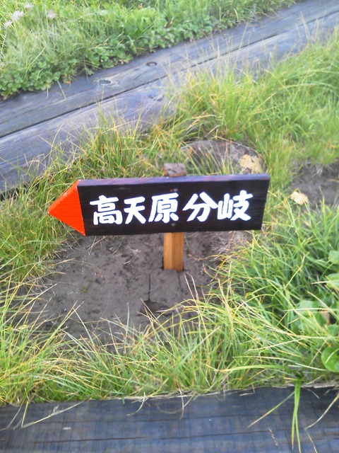 img51264875247bc