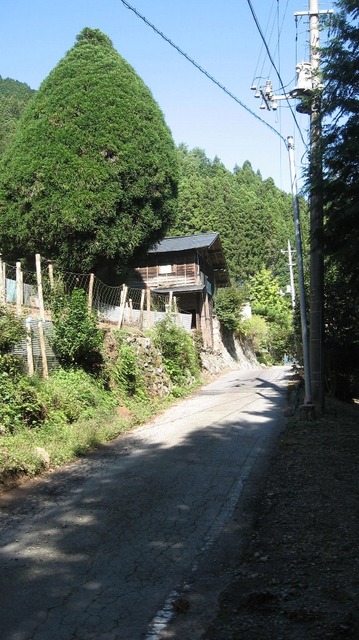 vljiko084717