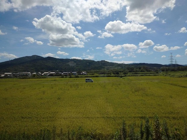 xzOFdyO