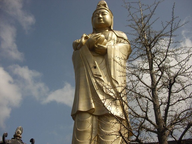 org3480704
