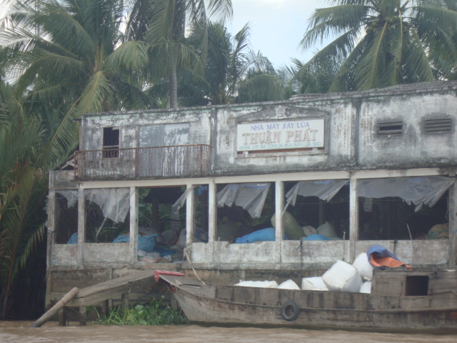 org3399851