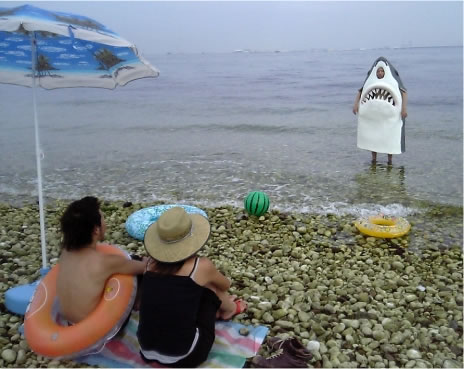 shark-754286