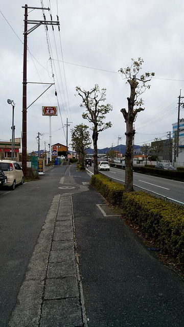iaxAiyR