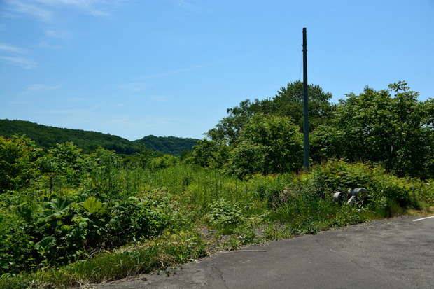 Zqwh39X