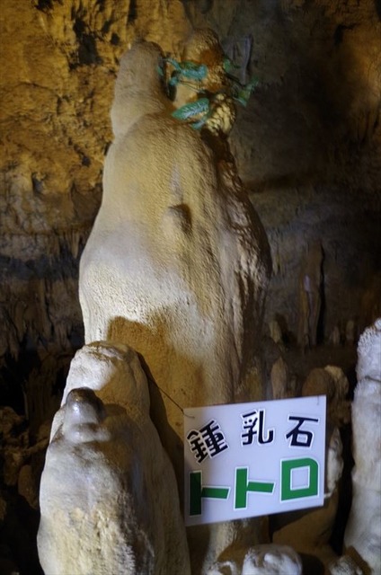 cFujiBu