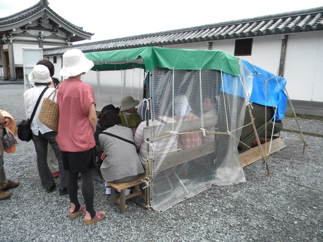 org3455503