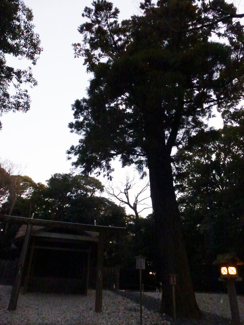 sTcxk